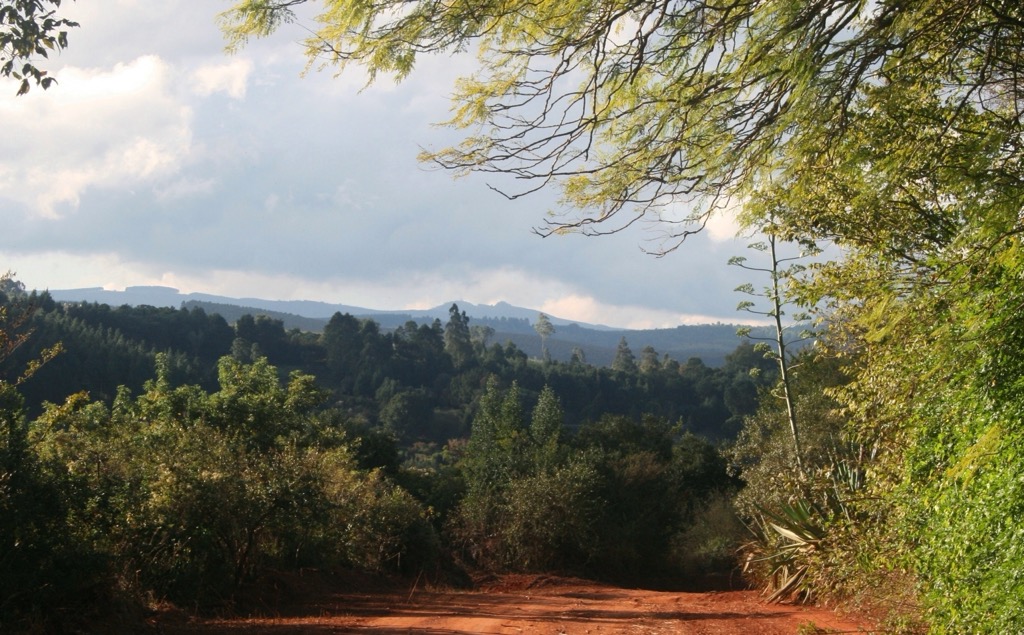 The Haenertsburg landscape. Capricorn District Municipality