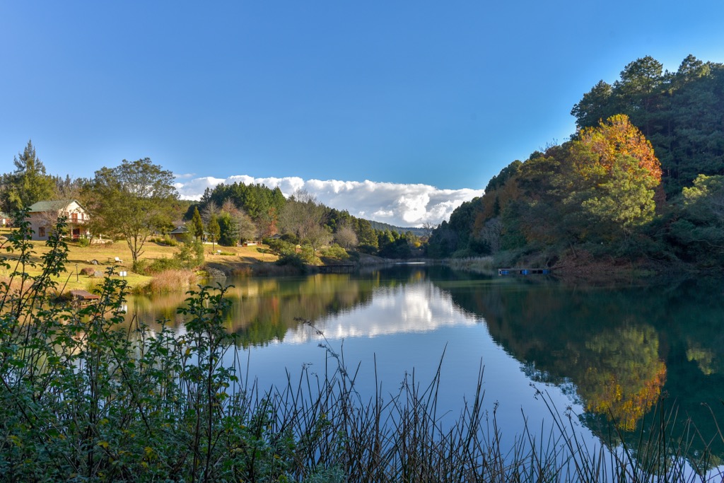 A small lake near Magoebaskloof. Capricorn District Municipality