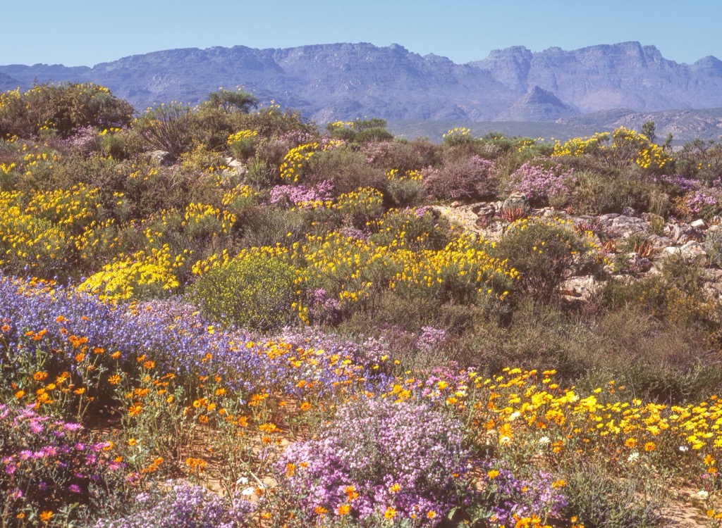 Cederberg, South Africa