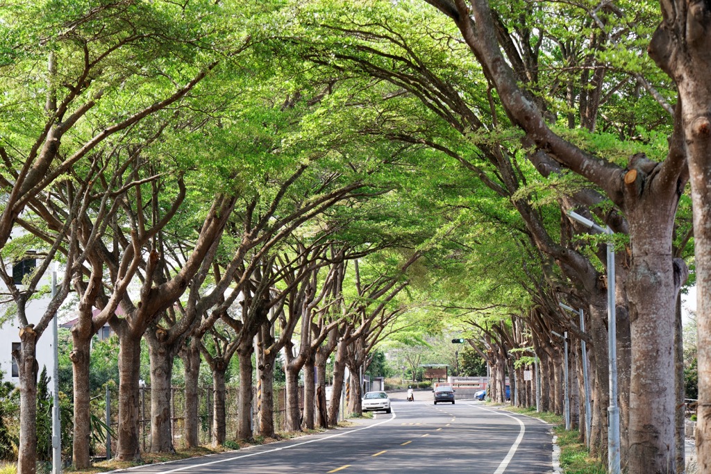Taibao City, Chiayi County, Taiwan