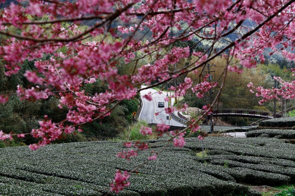 Chiayi County, Taiwan