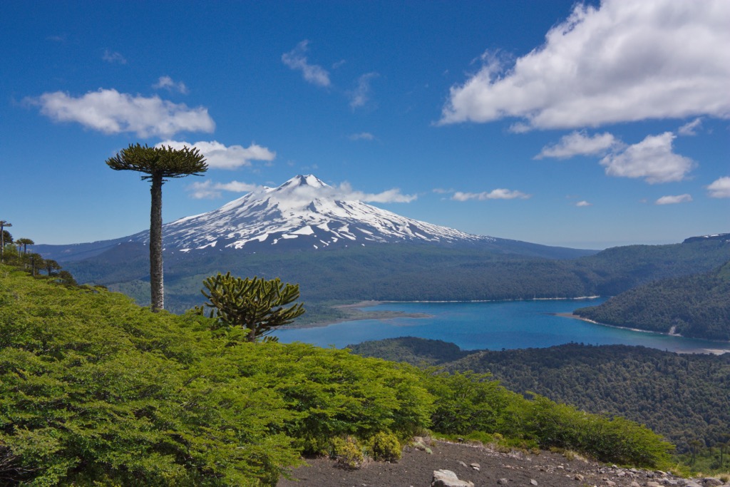Conguillío National Park, Chile