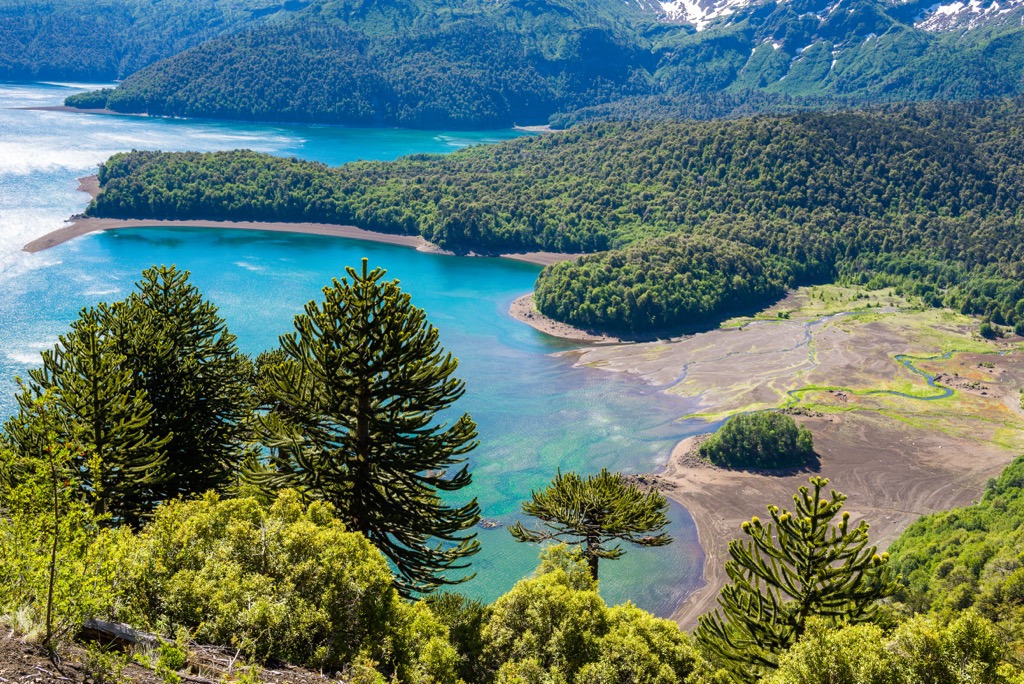 Parque Nacional Conguillio, Chile