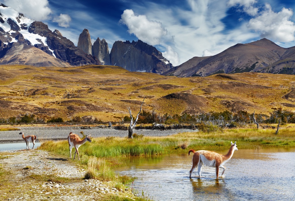 Parque Nacional Torres del Paine, Chile