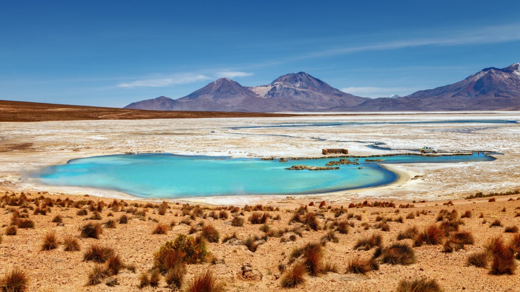 Parque Nacional Volcán Isluga, Chile