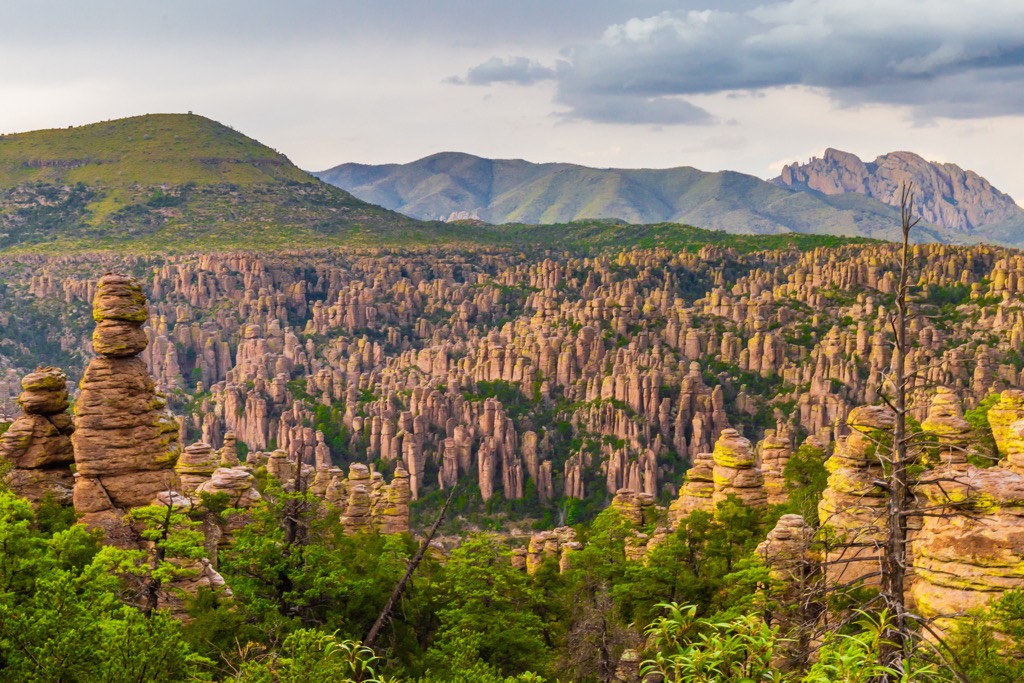 Chiricahua Mountains, Arizona