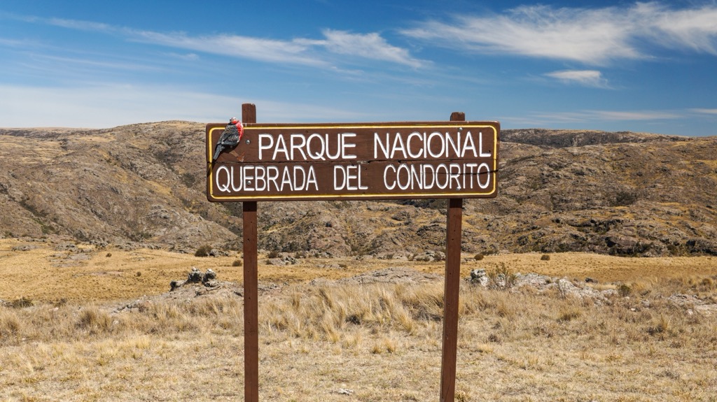 Condorito National Park, Córdoba, Argentina