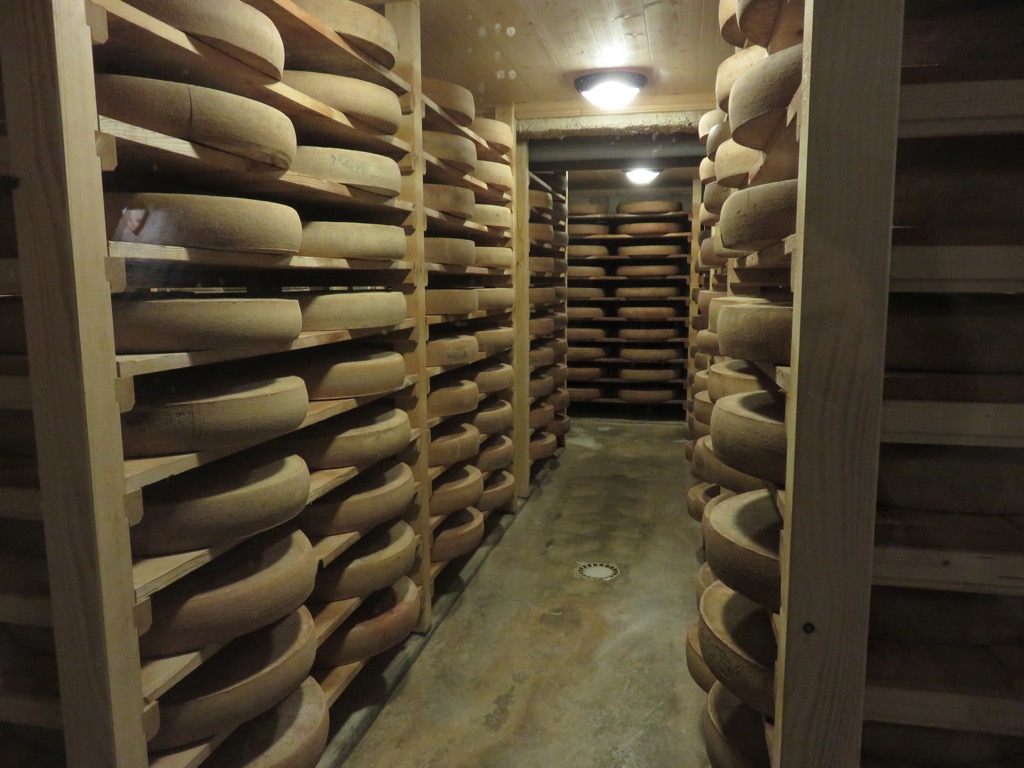 Comté finishes in a cave d’affinage in the Haut-Doubs region of France. Cows Blueberries Avalanches 