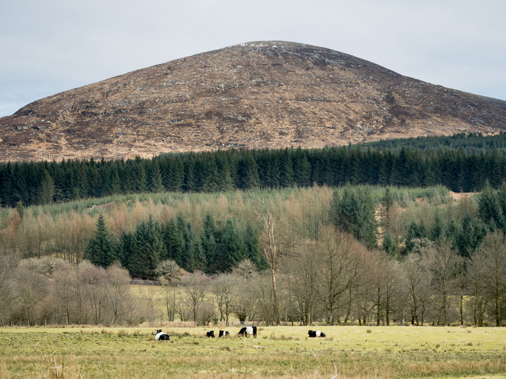 Dumfries and Galloway