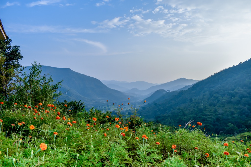 Araku Valley, Eastern Ghats, India