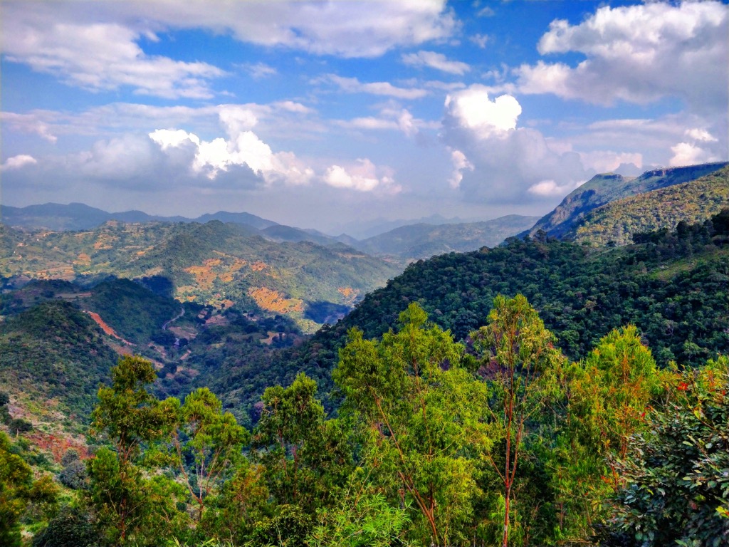 Eastern Ghats, India
