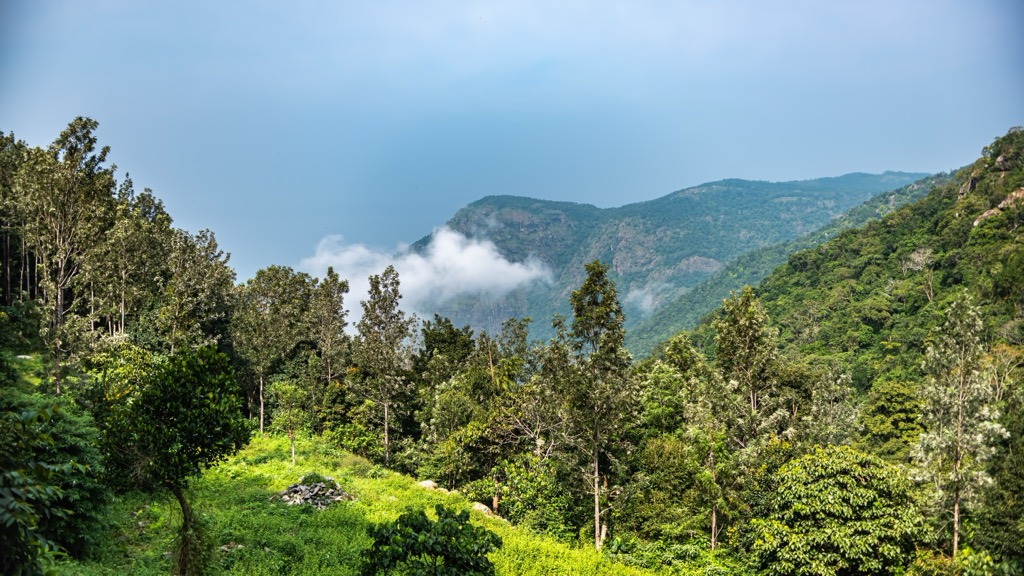 Kiliyur Falls, Eastern Ghats, India
