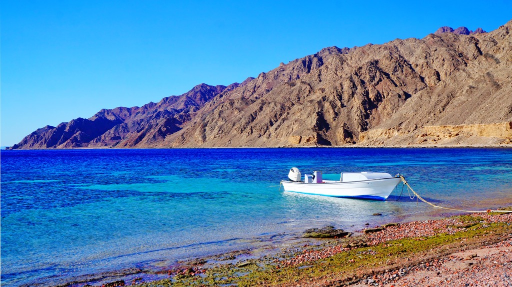 Ras Abu Galum, Egypt