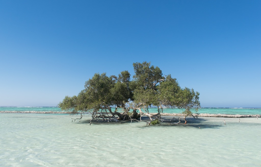 Wadi El Gemal, Egypt