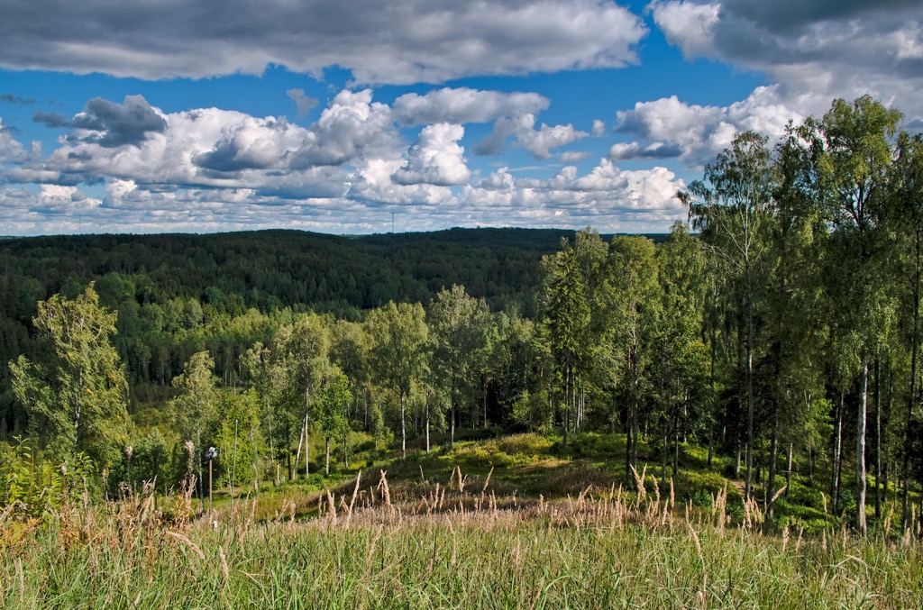 Väike Munamägi, Estonia