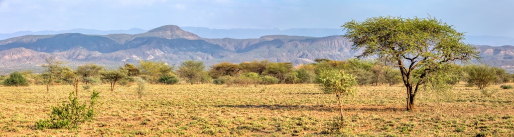 Acacia landscapes of Awash National Park. Ethiopia Mountains