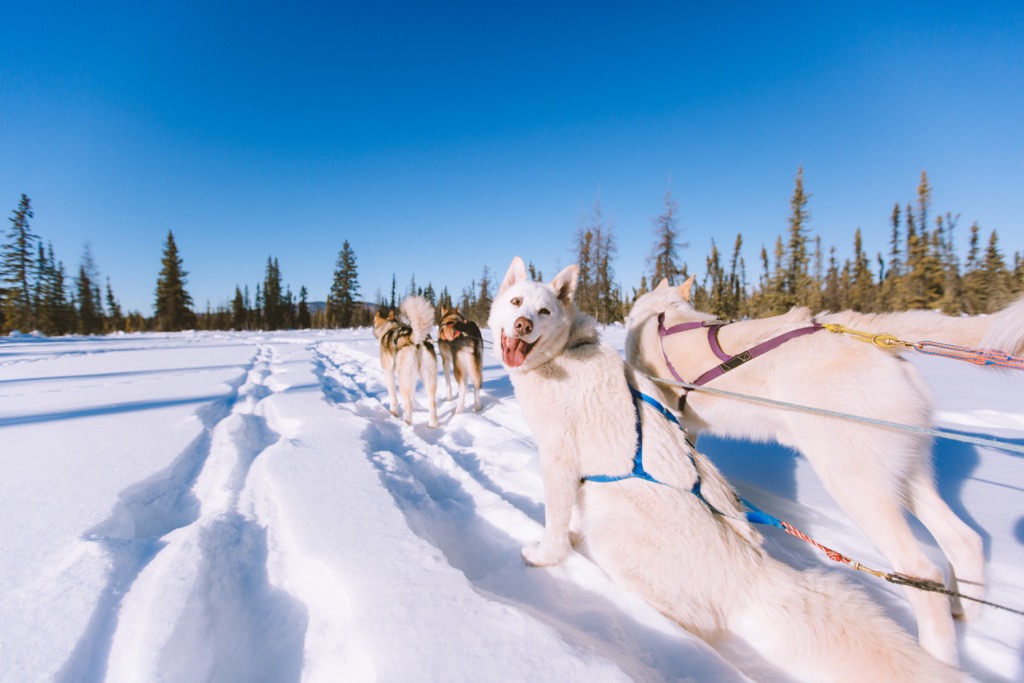 Fairbanks North Star, Alaska