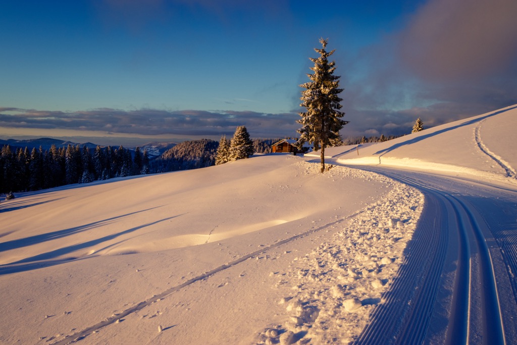Most tracks are groomed daily. Feldberg