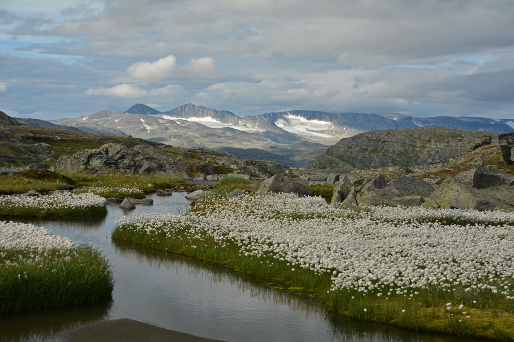 Breheimen national parkd, Finland