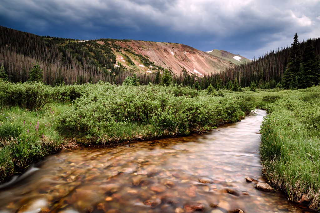 Forest and Creek, Never Summer Mountains, Colorado, USA