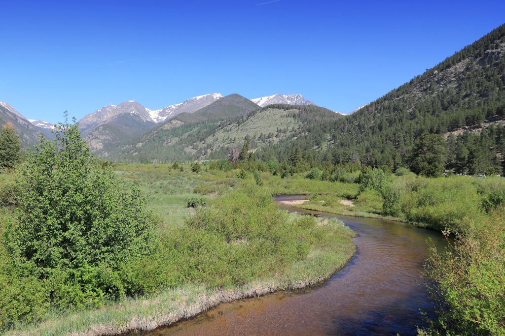 Forest and River, Mummy Range, Rocky Mountain National Park, Colorado, USA