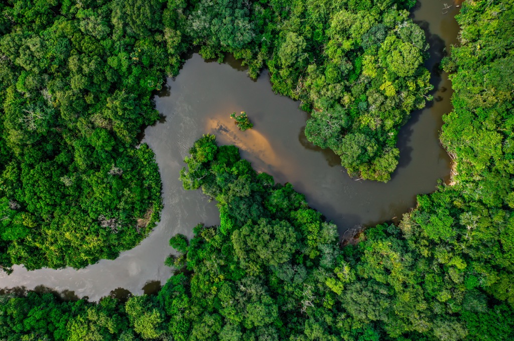 The river passing through the palms in South Goa. Goa Mountains