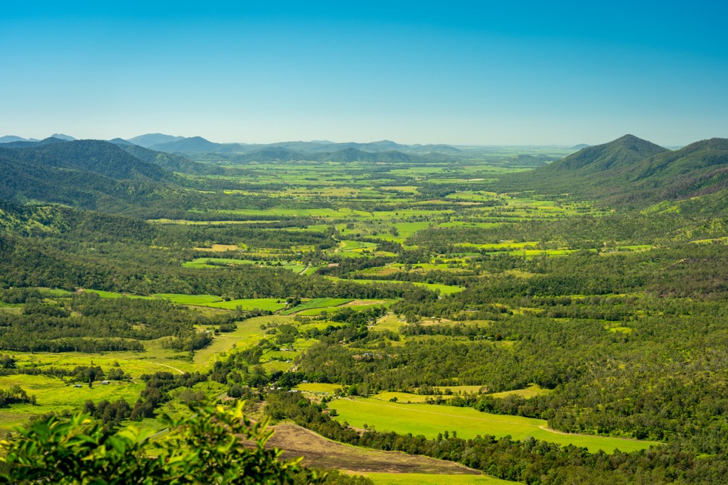 Eungella National Park, Great Dividing Range, Australia
