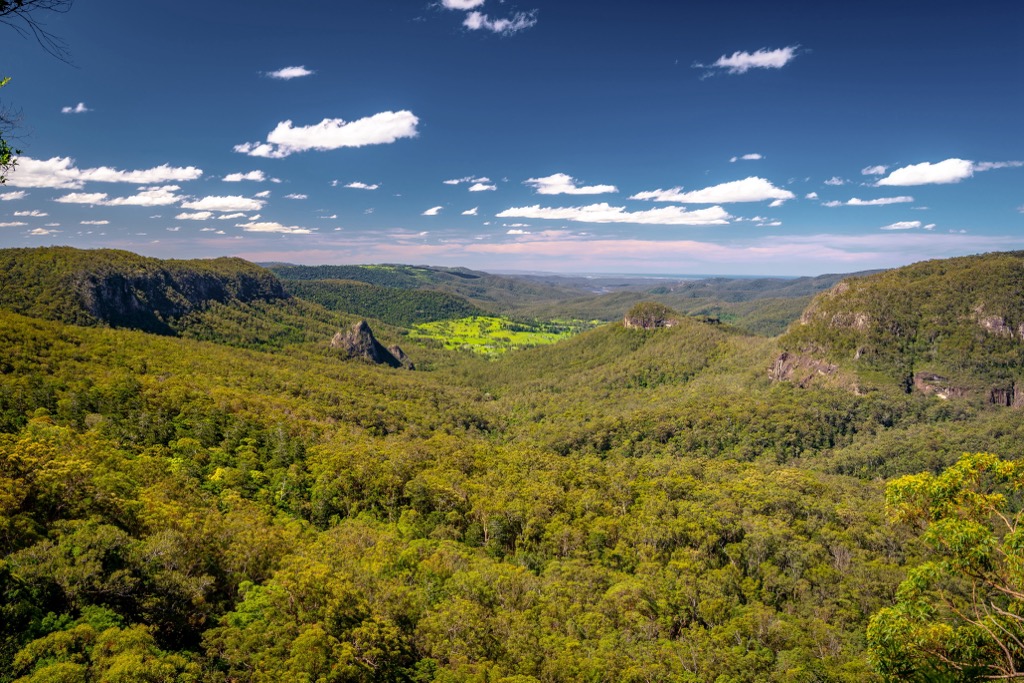 Lamington National Park, Great Dividing Range, Australia