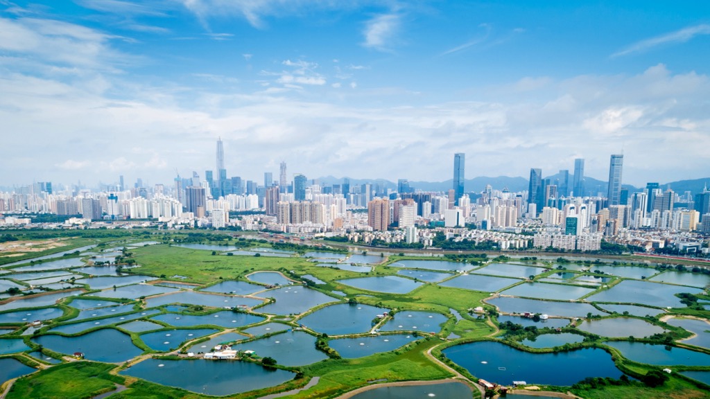 Shenzhen skyline. Guangdong