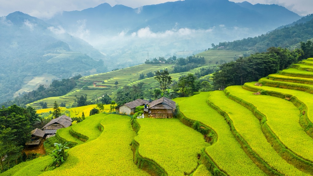 Terraced rice paddies amidst the mountains of Hà Giang. Ha Giang Province