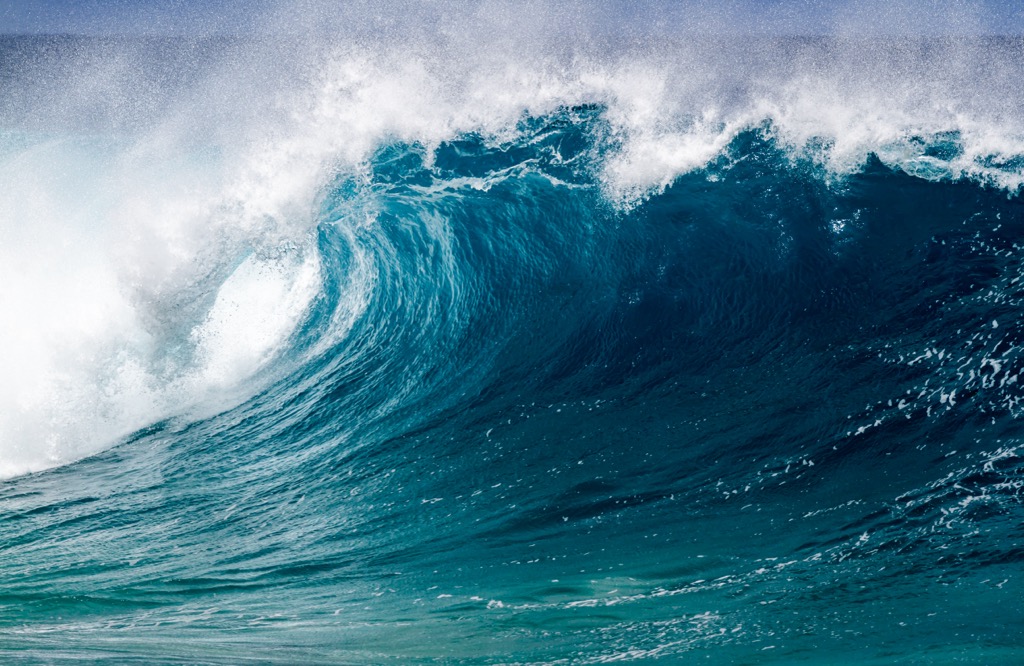 The North Shore is known for perfect barrel waves like this one. Due to the immense size of the swells, the North Shore is considered a destination for expert surfers only. Honolulu County