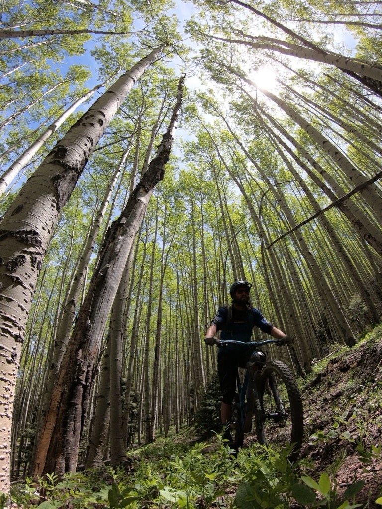 My iPhone shares this memory with me in the “Amongst the Trees” slideshow. I couldn’t have put it better myself. Photo: Sergei Poljak. How to Start Mountain Biking