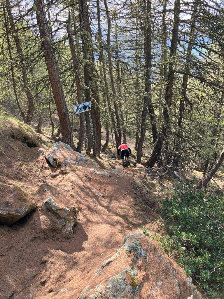 Standard black tech trail terrain. Photo: Sergei Poljak. How to Start Mountain Biking
