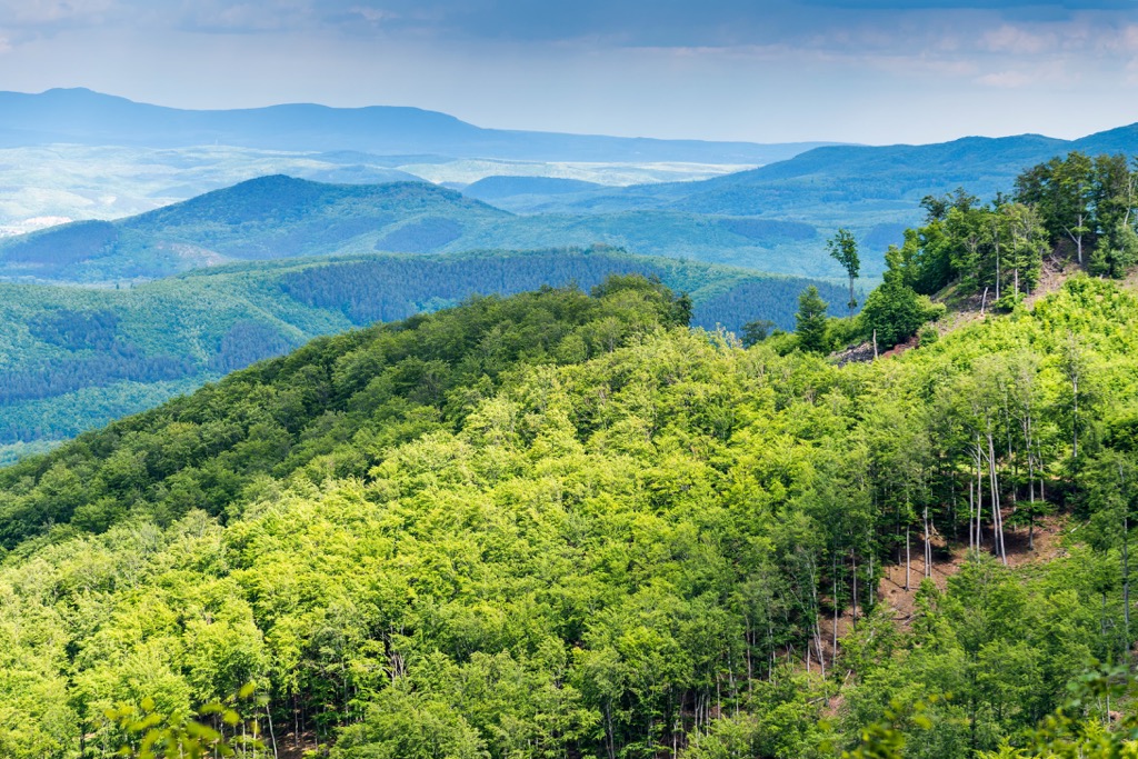 Mátra Mountains, Hungary