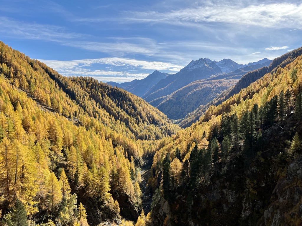 An Ode to Autumn