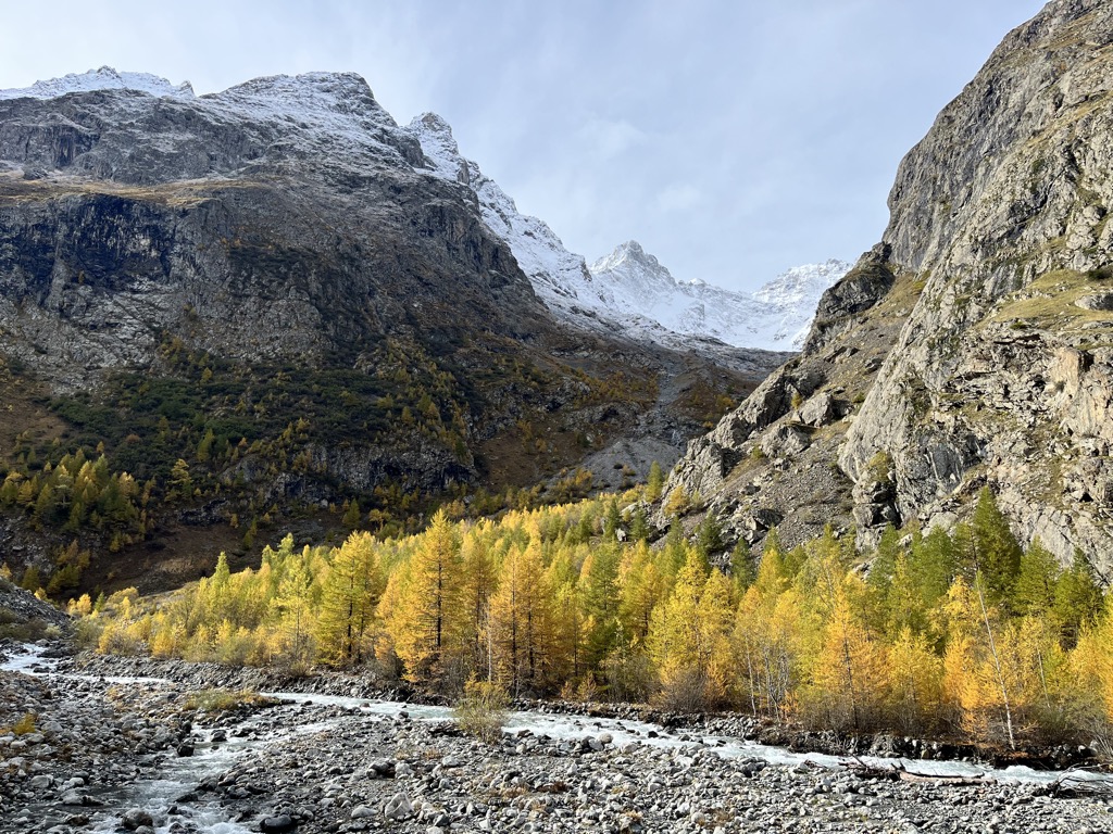 Larch contrasting with snowy peaks in the Parc National des Écrins. Photo courtesy of
Sergei Poljak/PeakVisor. Fall Foliage in Europe