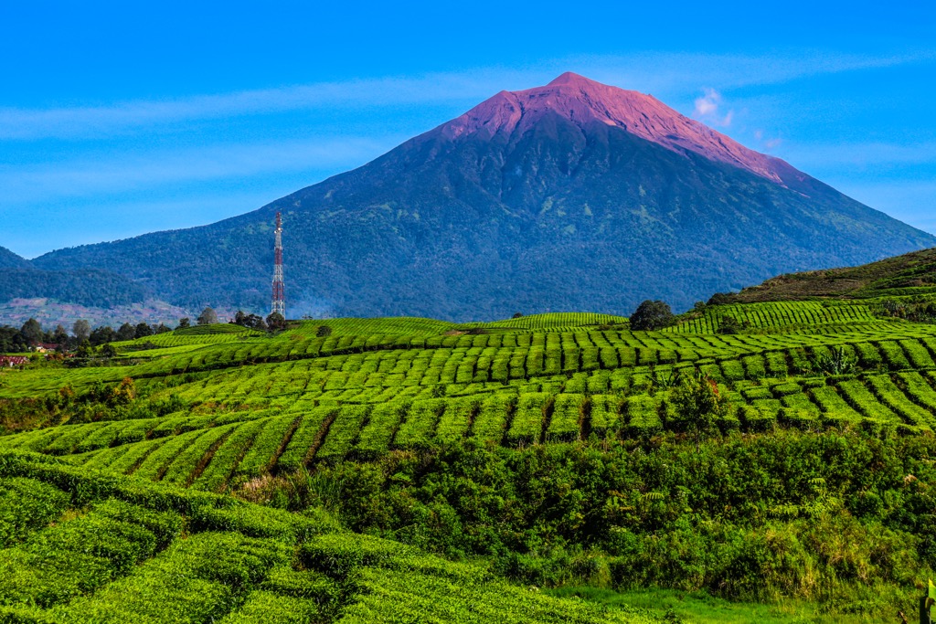 Gunung Kerinci, Greater Sunda Islands, Indonesia