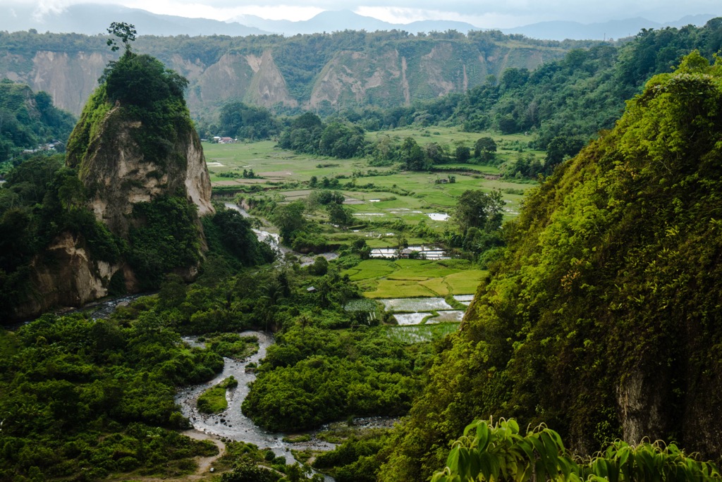 rainforests of Sumatra near Bukitinggi, Indonesia