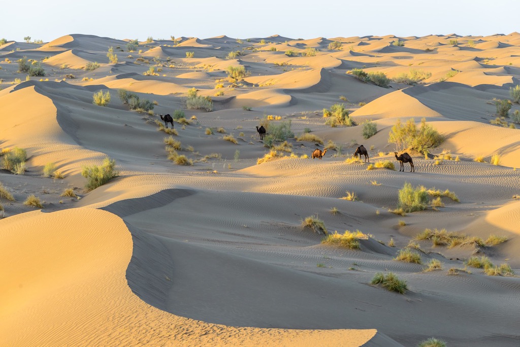 Desert Dasht-e Kavir, Farahzad, Iran