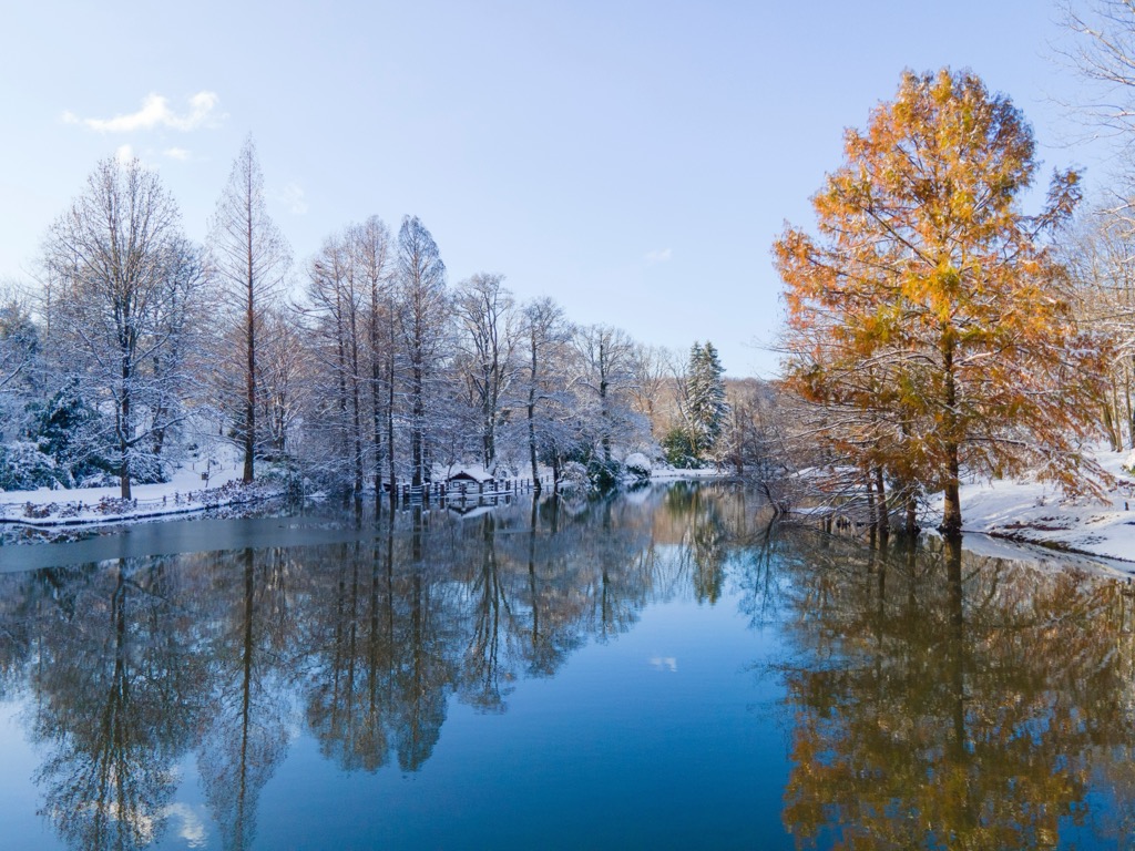 The Atatürk Arboretum in winter. Istanbul