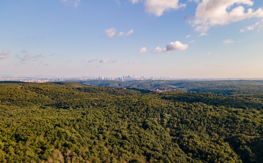 The Belgrad Forest is a vast wilderness just to the north of central Istanbul; you can see the skyscrapers of the financial district in the background. Istanbul