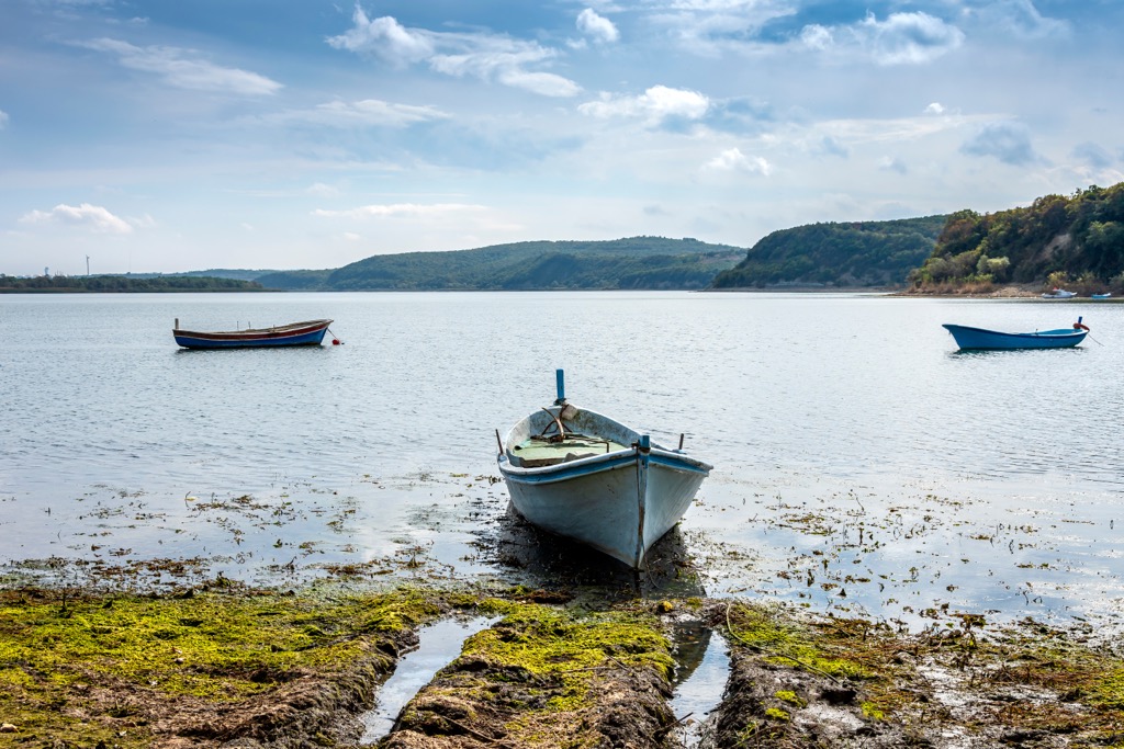 Terkos Lake is responsible for 20% of Istanbul’s water supply. The lake will be significantly compromised by the Istanbul Canal, perhaps disappearing altogether. Istanbul