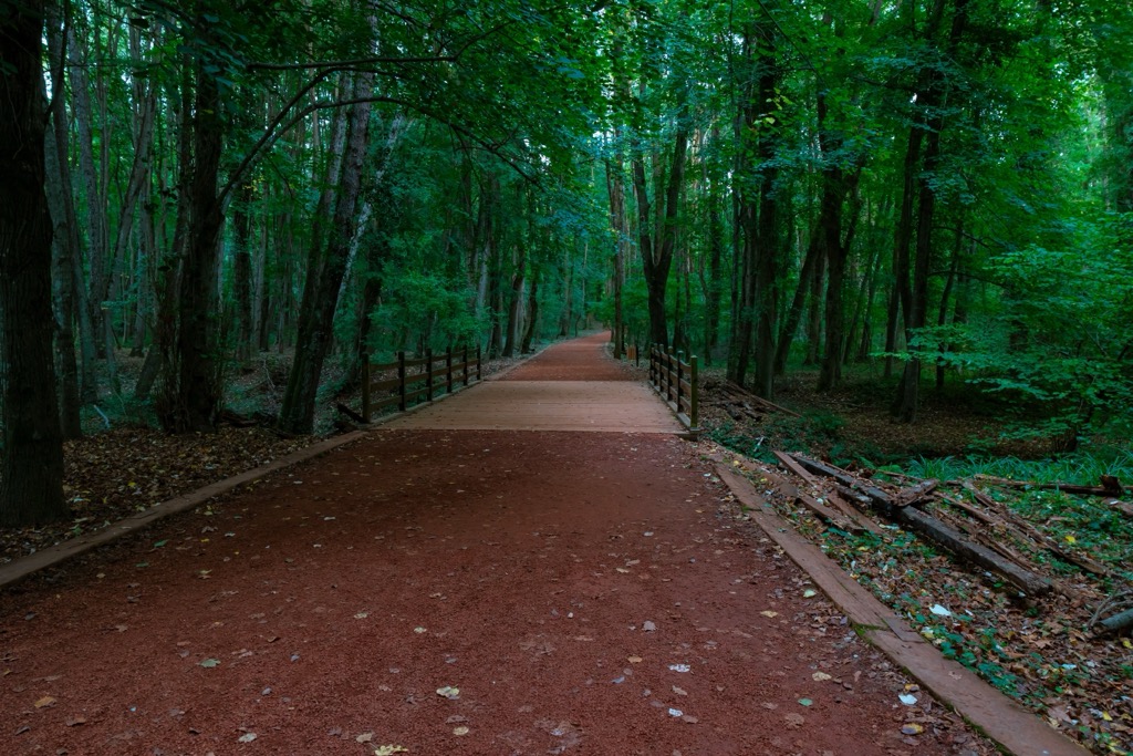 Well-maintained hiking trails in Belgrad Forest. Istanbul