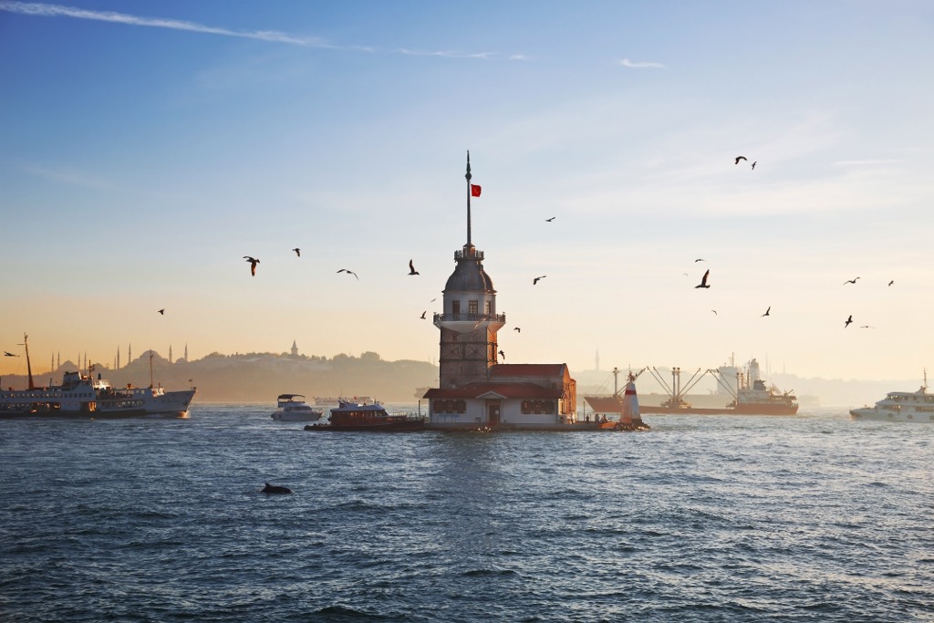 A dolphin near Maiden’s Tower on the Bosphorus Strait. Istanbul