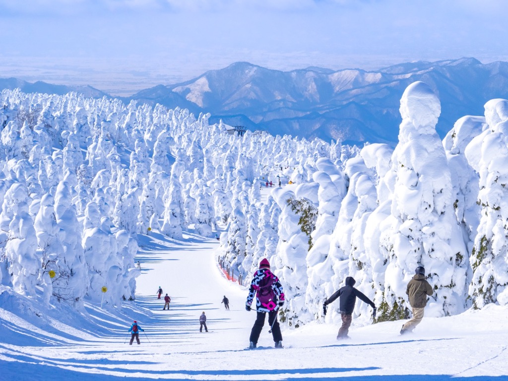 蔵王温泉スキー場（山形）