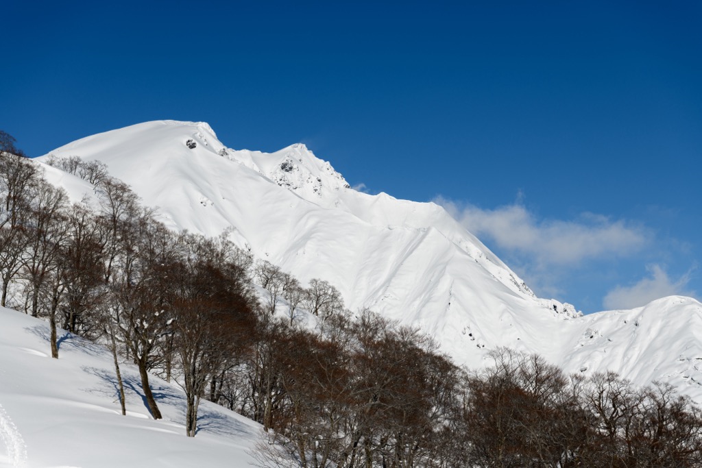 パウダースノーが中心で、エキサイティングな地形にはあまり出会えない日本において天神平は例外だ。