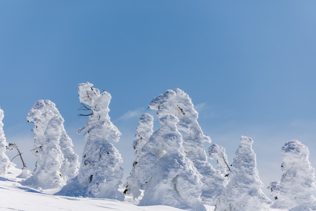 Snow monsters in 阿仁. Japan Skiing