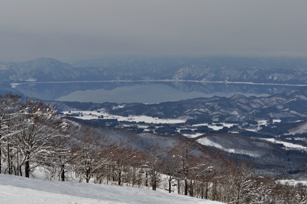 田沢湖のある風景：魔法の森に素晴らしいレイクビュー（湖は夏に人気だ）