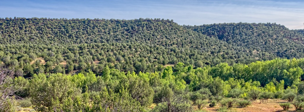Juniper Mountains, Arizona, USA