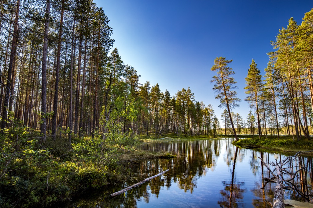 Hossa National Park, Kainuu, Finland